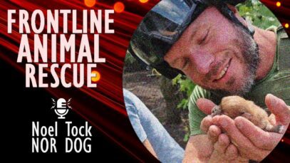 Noel Tock – Animal Rescuer at NOR DOG – Helping