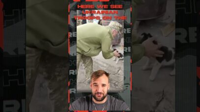 They are training the dogs, they are washing the cats…