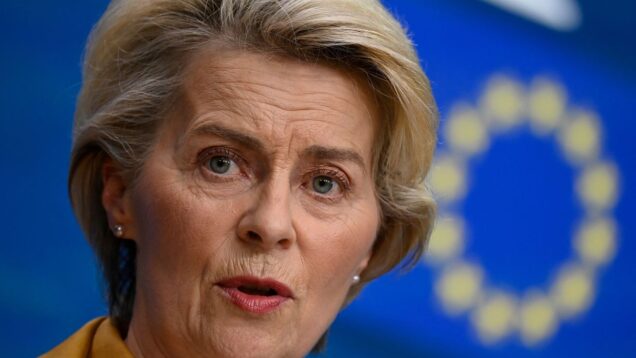 EU to allocate 170 million euros to six countries bordering