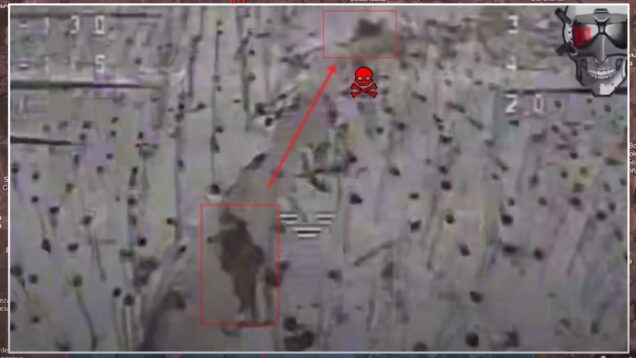 Frontline report: Ukrainian drone pilots turn North Korean fire against