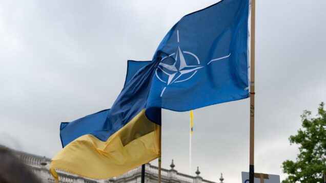Ukraine prioritizing security guarantees over immediate NATO membership, senior diplomat