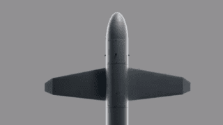 Ukraine's new Palianytsia missile-drone enters serial production, minister says