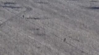 Did Russians on Crutches Actually Attack Ukrainian Frontlines? Let’s Find