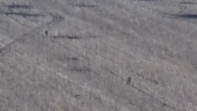 Did Russians on Crutches Actually Attack Ukrainian Frontlines? Let’s Find