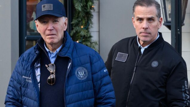 Ex-FBI informant accused of lying about Biden family's ties to