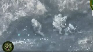 Forbes: Up to 400 Russo-North Korean troops lost in single