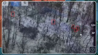Frontline report: North Korean forces routed in deadly Ukrainian trap