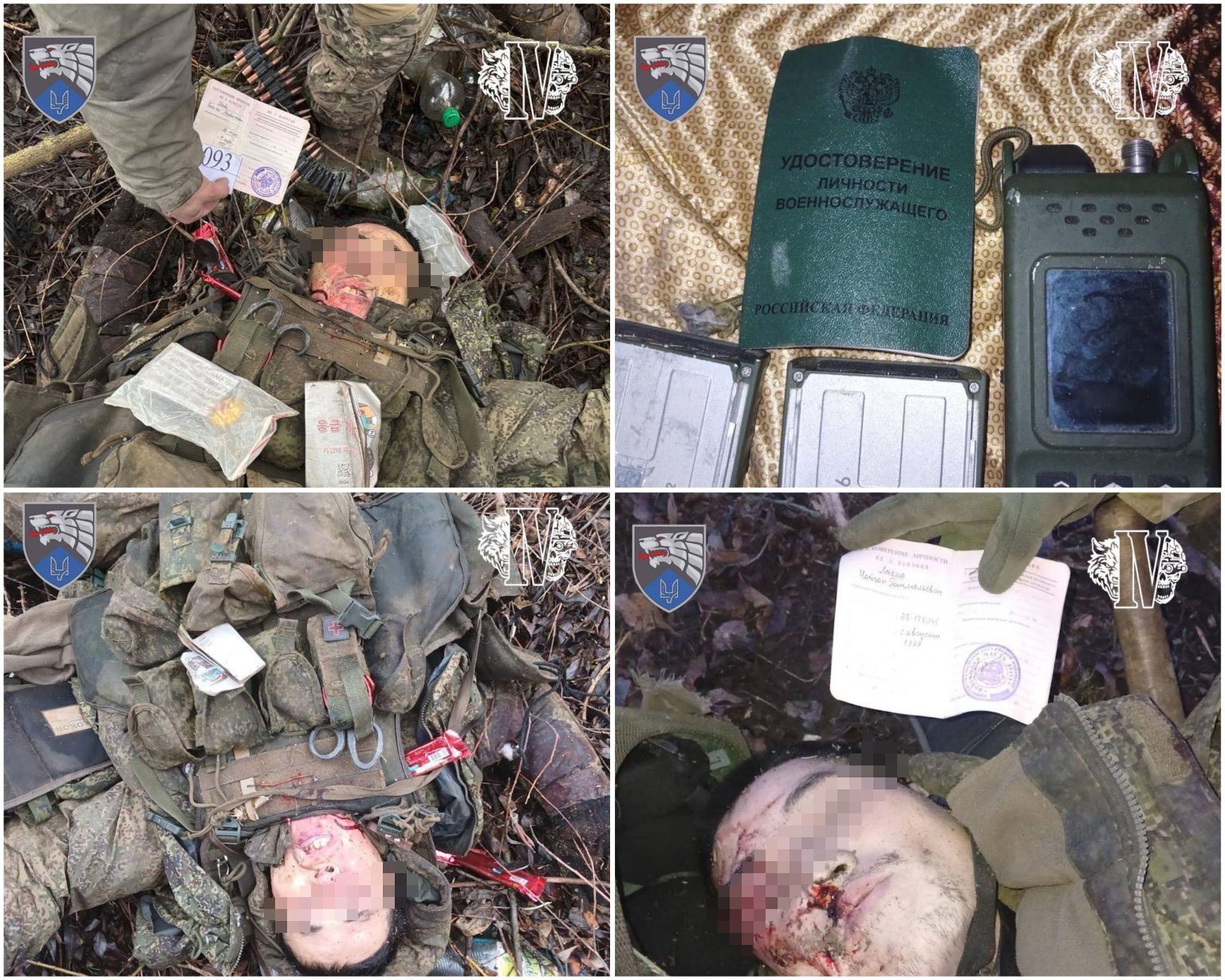 ukrainian sof eliminate 13 north korean soldiers russia's kursk oblast eliminated ukraine's dead-north-koreans 8th special operations forces (sso) regiment group military personnel press service reported providing photos documents ukraine news