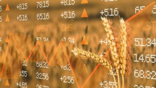 Taliban becomes Russia’s top flour buyer