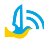 Trump plans Putin phone call within days of taking office, wants to meet Russian president