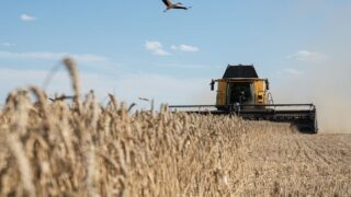 Ukraine hits $24.5 billion in agro-exports, nearing pre-war levels, Agriculture