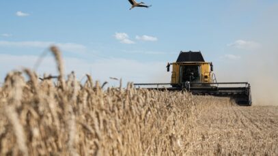 Ukraine hits $24.5 billion in agro-exports, nearing pre-war levels, Agriculture
