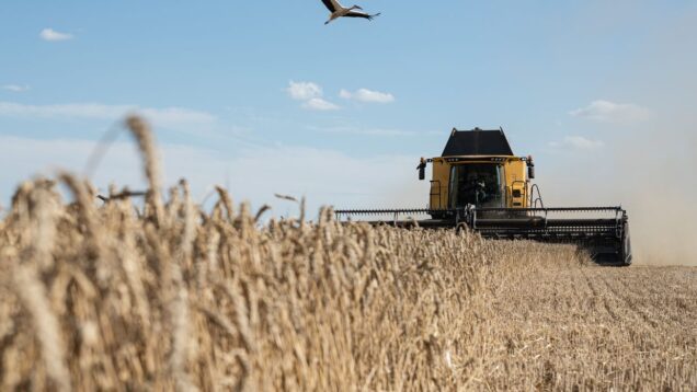 Ukraine hits $24.5 billion in agro-exports, nearing pre-war levels, Agriculture
