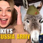 FROM KYIV IN THREE DAYS TO DONKEYS IN THE RUSSIAN ARMY Vlog 950: War in Ukraine