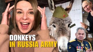 FROM KYIV IN THREE DAYS TO DONKEYS IN THE RUSSIAN