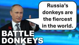 Russia is Sending Donkeys to the War Zone… Seriously