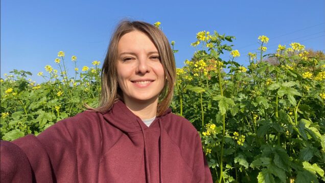 Vlog 204: a short trip to nearby villages: old churches,