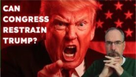 Can Anything Be Done To Stop Trump’s Tariff Trade War?