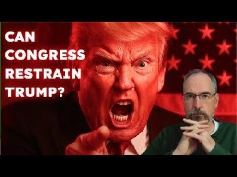 Can Anything Be Done To Stop Trump’s Tariff Trade War?