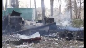 Day 33: updates, positive moments, achievements