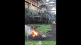 The Hedgehog BMP Gets Destroyed