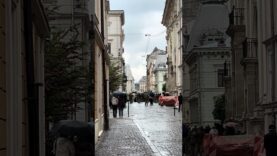 Trump, this is the cost of your games and schemes,