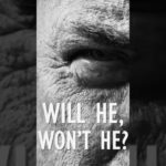 BREAKING: Will Trump Join Israel Against Iran?