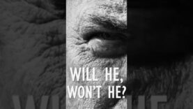 BREAKING: Will Trump Join Israel Against Iran?