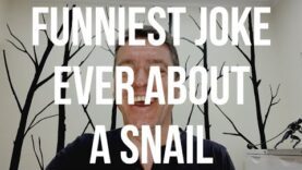 Funniest Joke Ever About a Snail. Try Not to Laugh