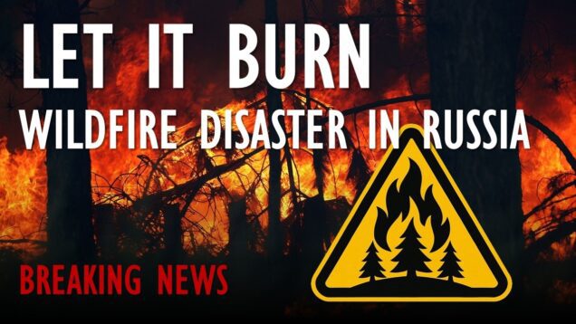 BREAKING NEWS: Why Are Russia’s Wildfires Getting Worse?