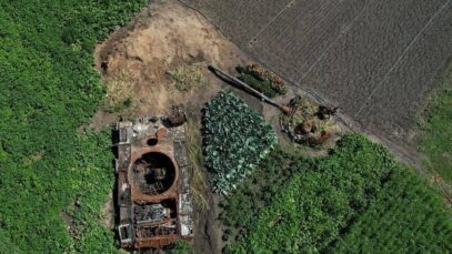 Realities in Ukraine these days. A woman planted cabbages around
