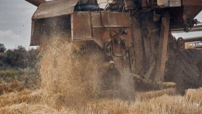 Ukrainian harvest 2022.