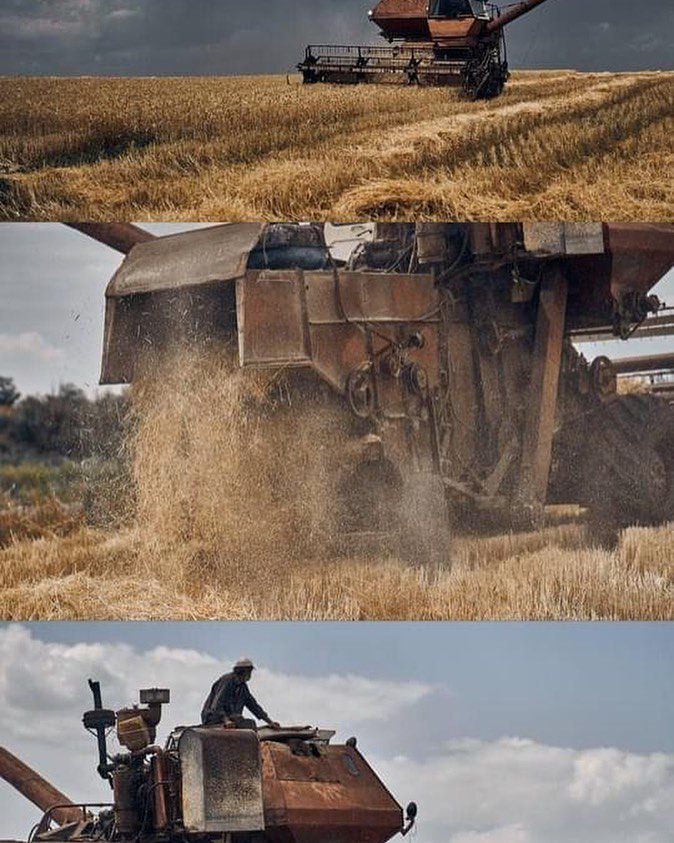 Ukrainian harvest 2022.