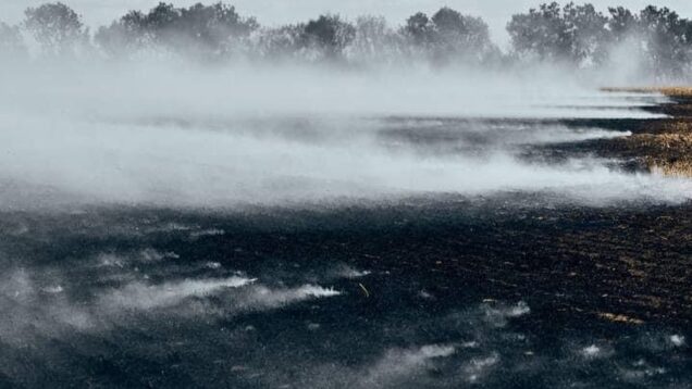 Ukrainian harvest 2022.