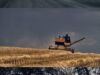 Ukrainian harvest 2022.
