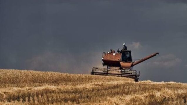 Ukrainian harvest 2022.