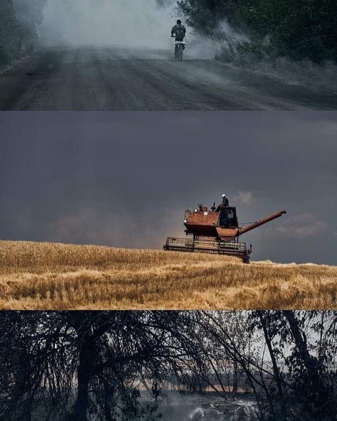 Ukrainian harvest 2022.