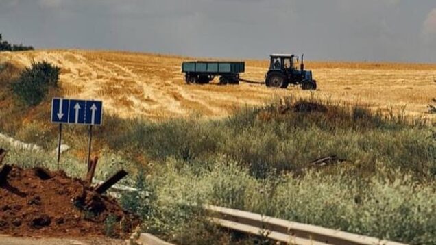 Ukrainian harvest 2022.