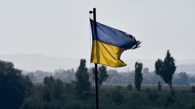 Ukrainian harvest 2022.