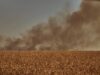 Wheat fields are on fire due to Russian rocket shelling.