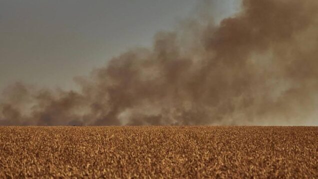 Wheat fields are on fire due to Russian rocket shelling.