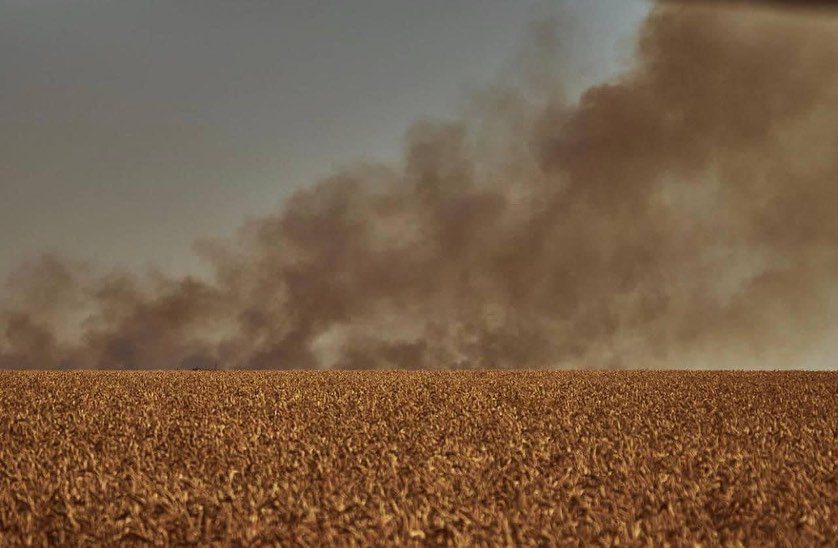 Wheat fields are on fire due to Russian rocket shelling. Konstantin Liberov show