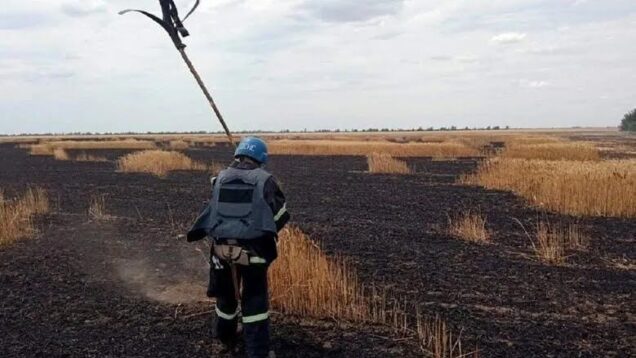 Difficulties and dangers of bringing the harvest in – Ukraine,