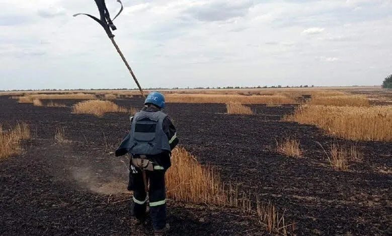 Difficulties and dangers of bringing the harvest in - Ukraine, summer 2022.