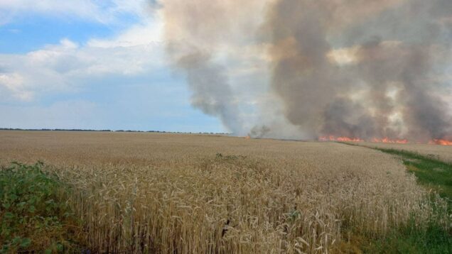 Difficulties and dangers of bringing the harvest in – Ukraine,