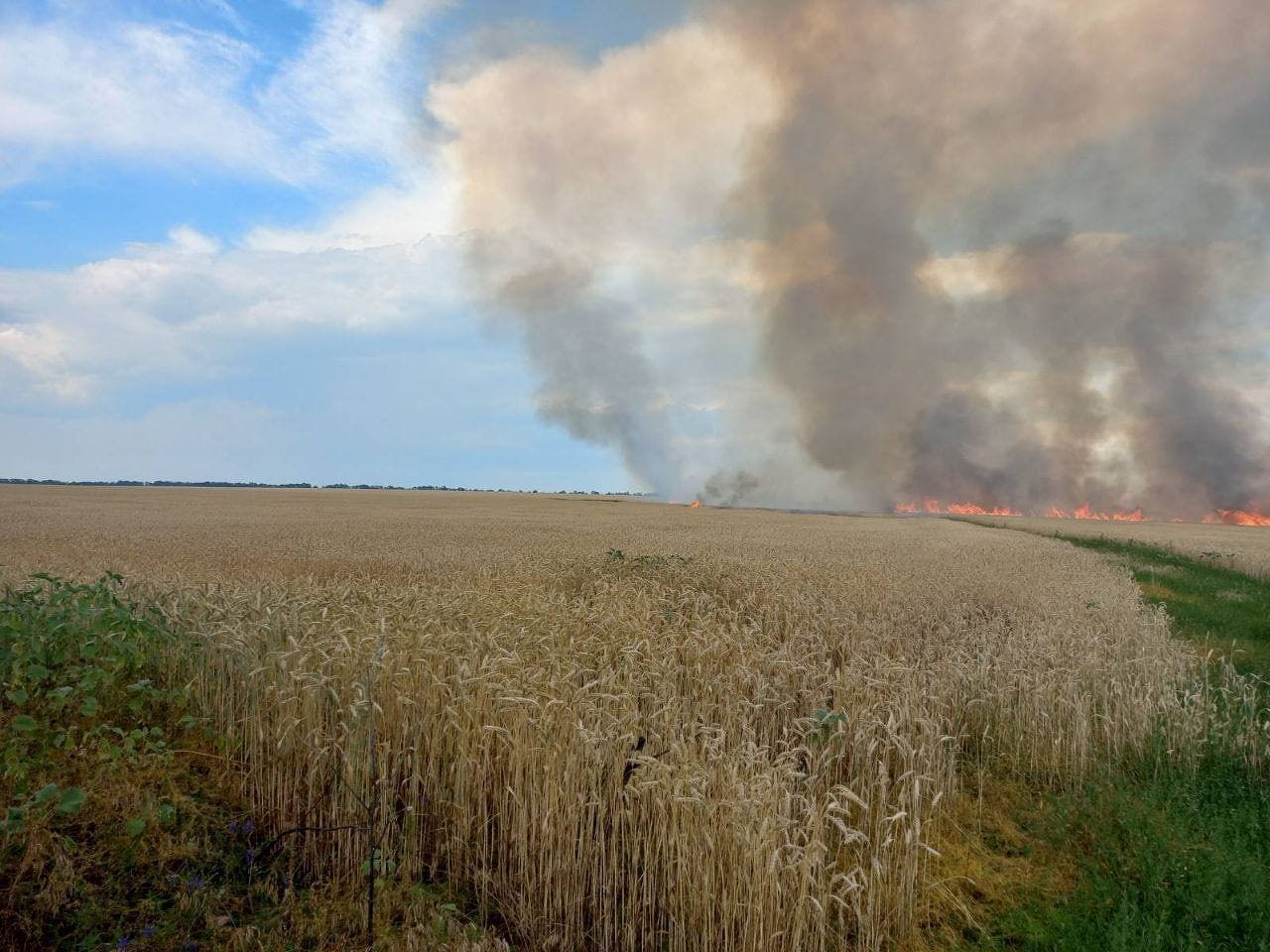 Difficulties and dangers of bringing the harvest in - Ukraine, summer 2022.