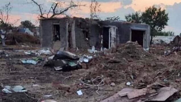 A 2 year old surveys the ruins of her house.