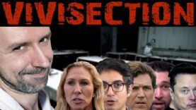 A closer look at the russian misinformation on the West