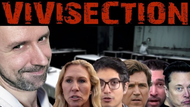 A closer look at the russian misinformation on the West