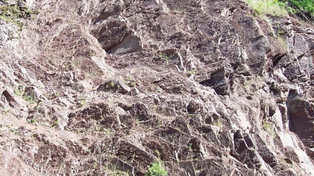 Can you spot me in the photo?